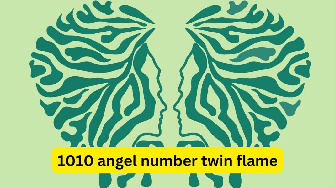 1010 angel number twin flame