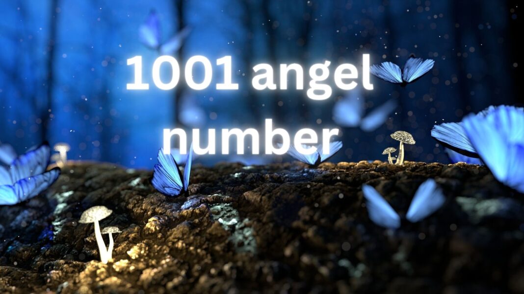 1001 angel number